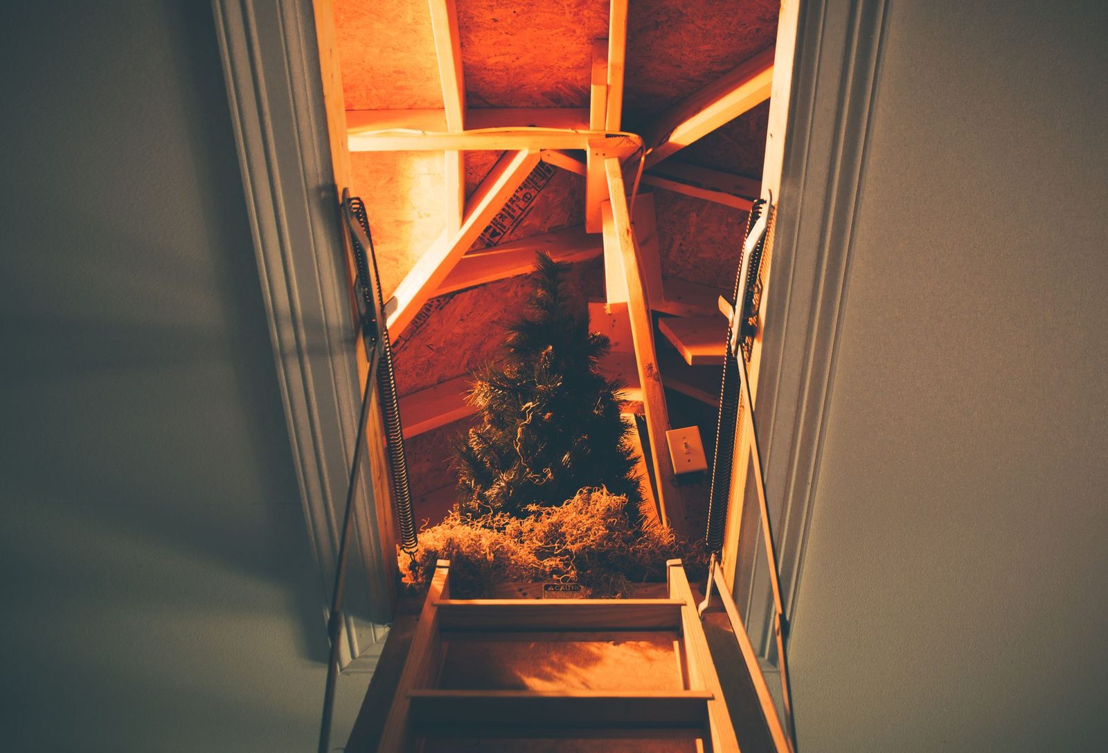 Warm light in a loft space with roof timbers