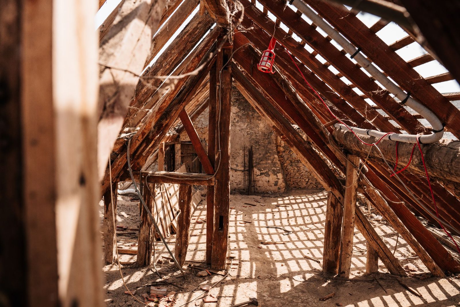 Timber roof structure viewed from inside a loft